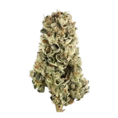 ACHETER OG KUSH – Fleurs Cali full